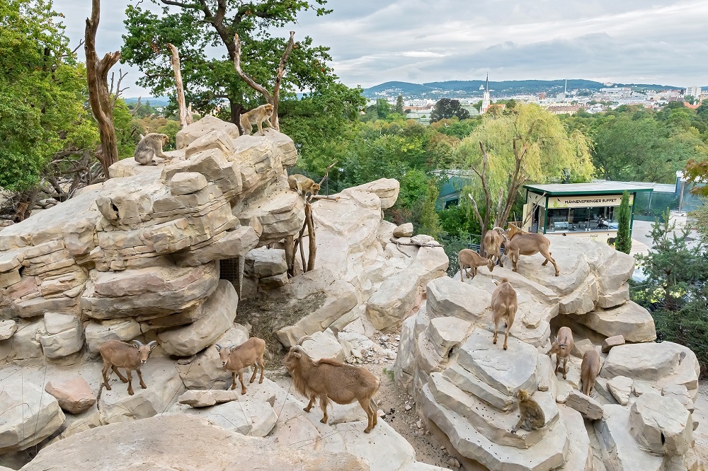 Ovo je najbolji zoološki vrt u Evropi šesti put zaredom