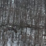 Otvaranje izložbe „Zanimljiva geografija” u prodajnoj galeriji „Beograd”