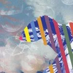 Revija filmova „U SUSRET FEST-u” u Jugoslovenskoj kinoteci