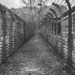 Filmovi o Holokaustu: Preporuka redakcije