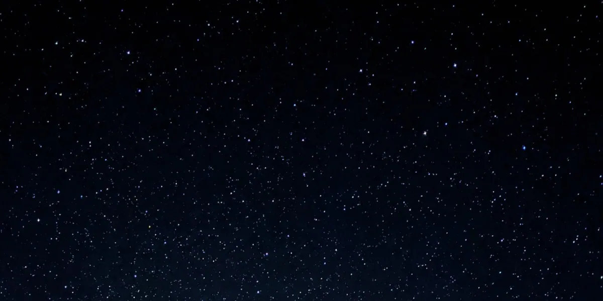 Kikiriki, semenke, sport za zube: Još jedna zvezda na našem nebu