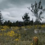 Filmovi sa ДОК #4 festivala na MojOFF platformi