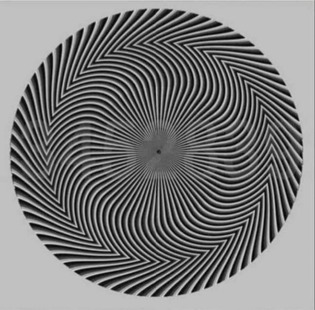 Koji broj vidite na ovoj optičkoj iluziji?