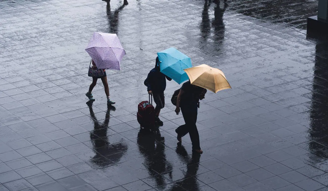 Evo zašto je poželjno da ponekad šetamo po kiši