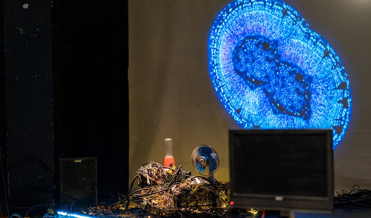 Predstava „Mogućnost zabavljanja kod ptica“ na sceni Bitef teatra