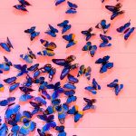 Broj insekata u pojedinim krajevima sveta je prepolovljen