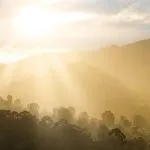 Kikiriki, semenke, sport za zube: Događaj