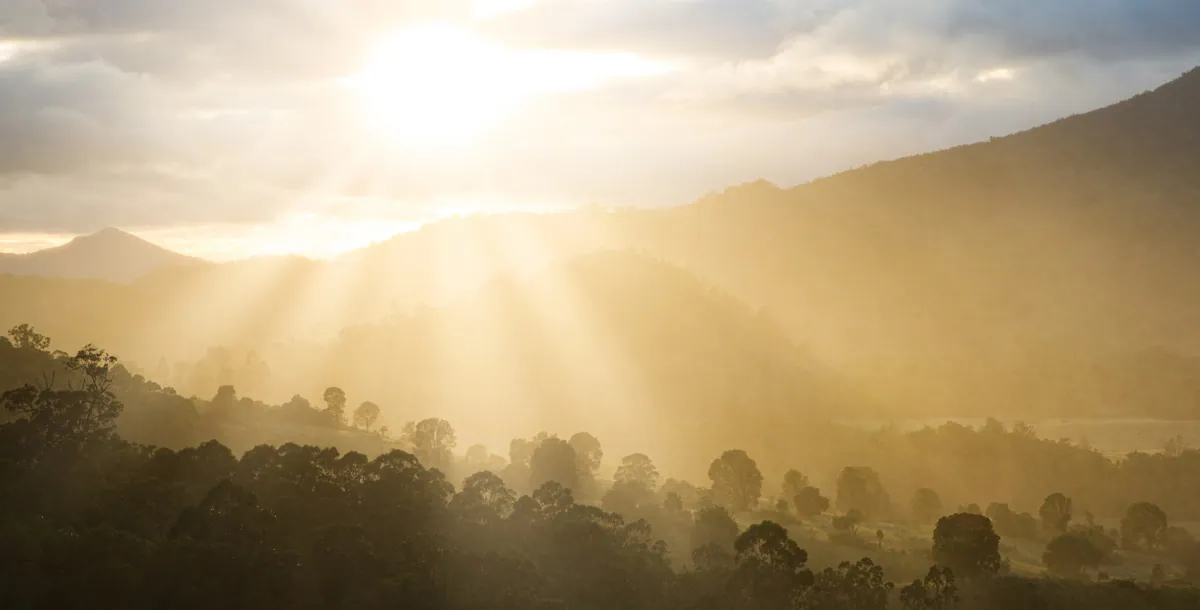 Kikiriki, semenke, sport za zube: Događaj