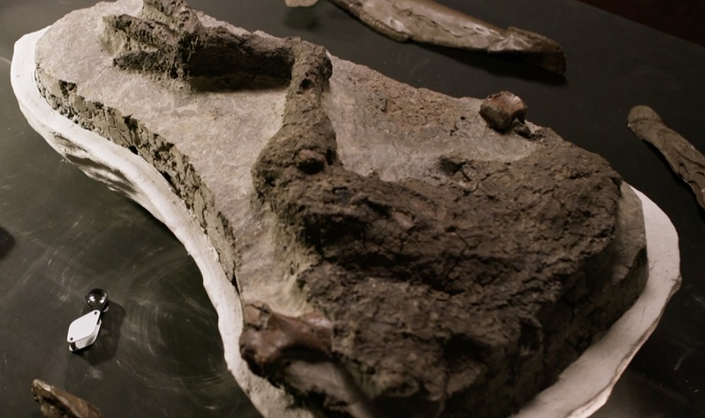 Novi dokumentarac sa Dejvidom Atenborom otkriva poslednje sate u životu dinosaurusa