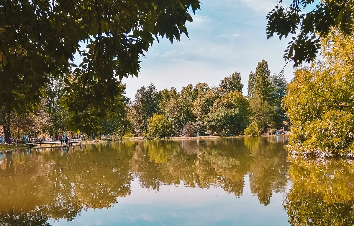 Ivan Tokin: Skoplje forever