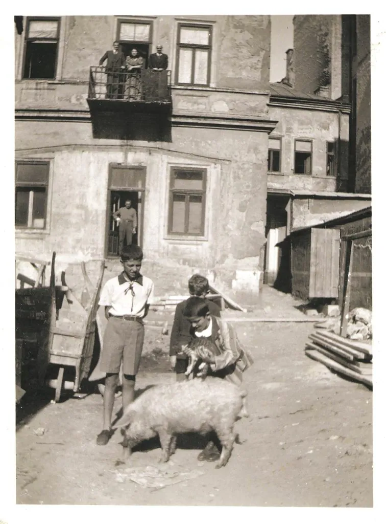 Beogradske priče iz starih albuma