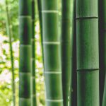 Da li su maske od bambusa zaista održive?