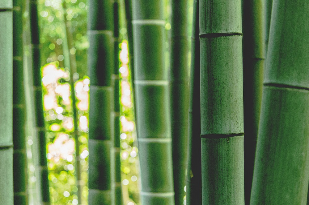 Da li su maske od bambusa zaista održive?