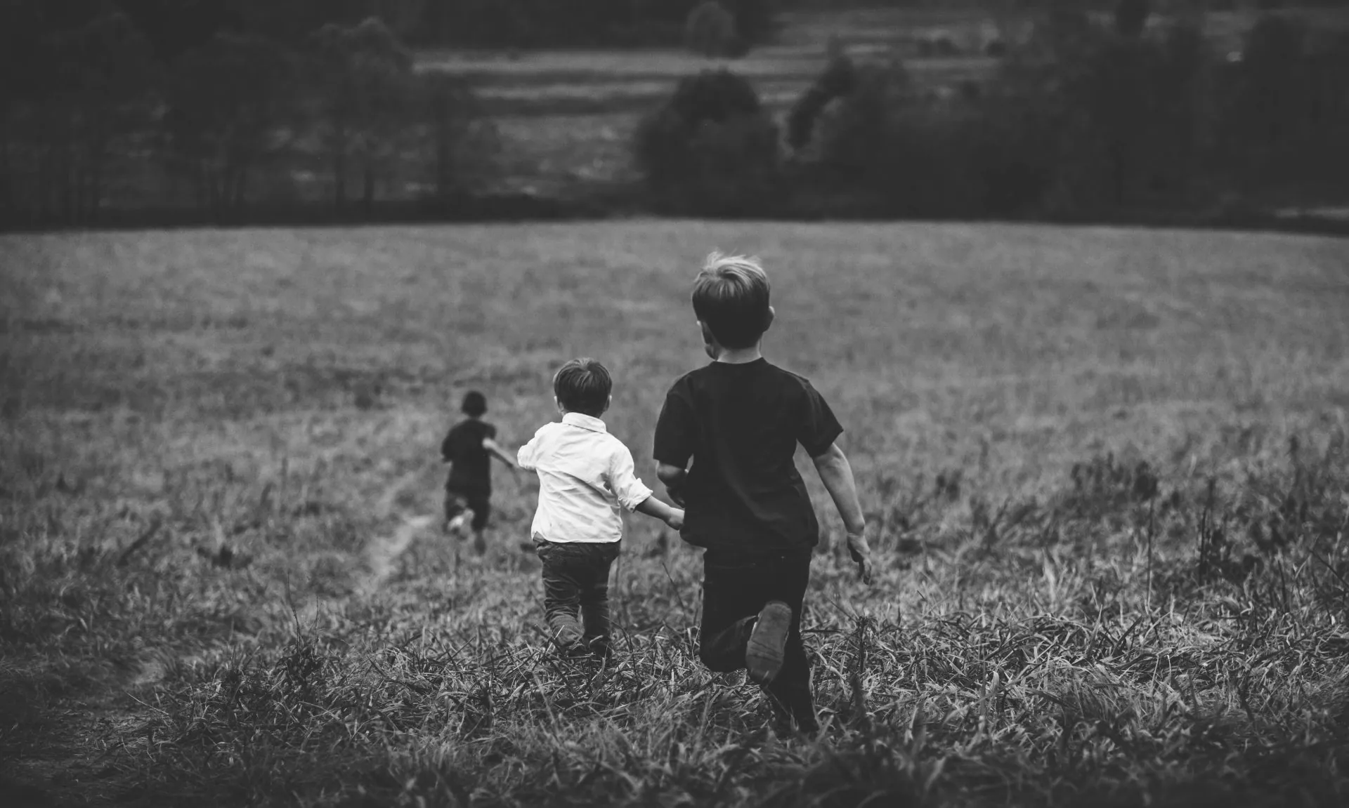 Ivan Tokin: Mačke za Teodora