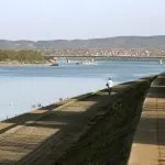 Neobičan snimak riba u Beogradu je postao viralan, ali iza njega se krije mučna istina