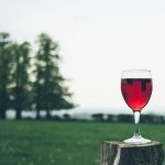 Ovaj alkohol u Srbiji nije veganski, i mi smo se začudili