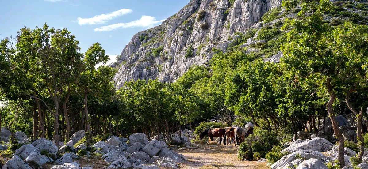Da li ste čuli za Kuk-o, atomsko sklonište u Makarskoj u kome su apartmane imali Tito i Jovanka?