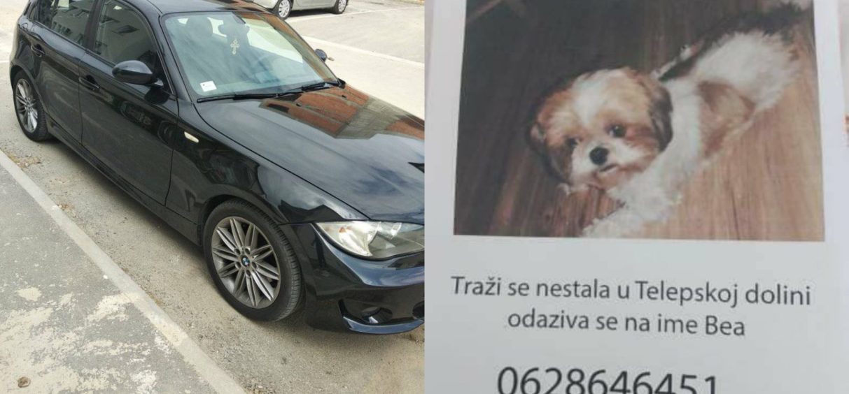 “Ja psa moram naći”: Boško je izgubio Beu, deci ne sme na oči, a nalazaču nudi BMW-a