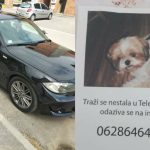 "Ja psa moram naći": Boško je izgubio Beu, deci ne sme na oči, a nalazaču nudi BMW-a