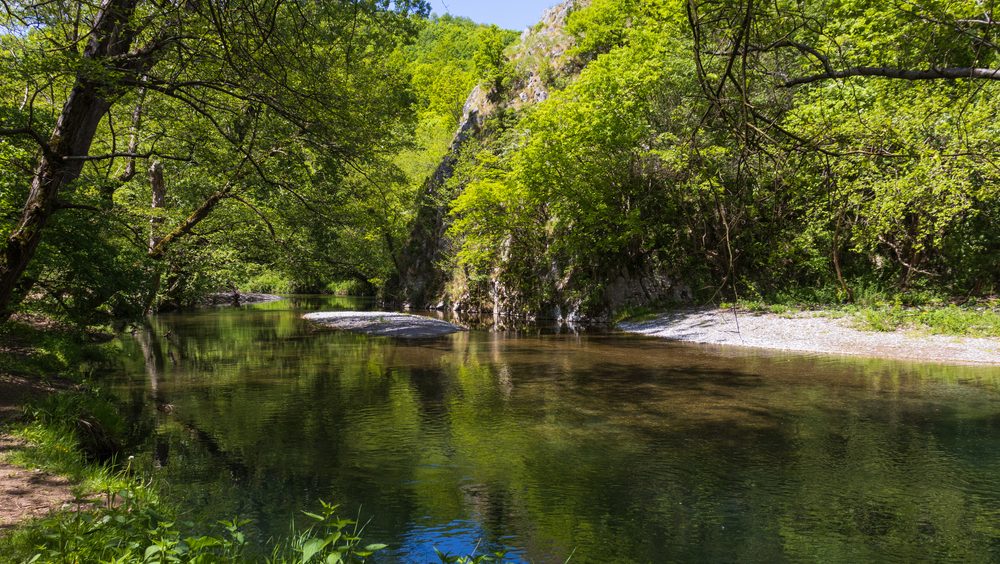 Na 100 kilometara od Beograda čeka vas raj: Kupanje u pijaćoj vodi i staze u šumi zbog kojih ćete zaboraviti da je napolju vrelo