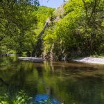 Na 100 kilometara od Beograda čeka vas raj: Kupanje u pijaćoj vodi i staze u šumi zbog kojih ćete zaboraviti da je napolju vrelo