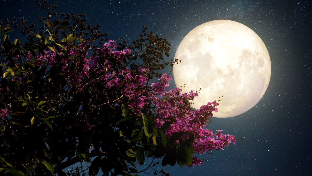 Super pun mesec u Vodoliji stiže 12. avgusta: Najveći uticaj imaće na ova 4 znaka