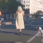 Snimak žene na trotinetu razbesneo Beograđane: "Jadan pas"