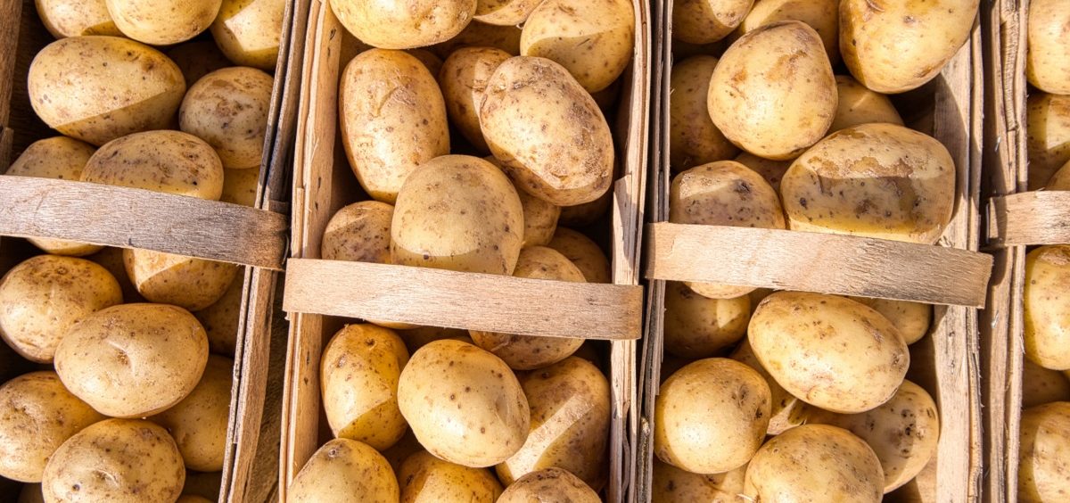 Ako ovo primetite na krompiru, nemojte ga jesti – razlog može biti vrlo opasan