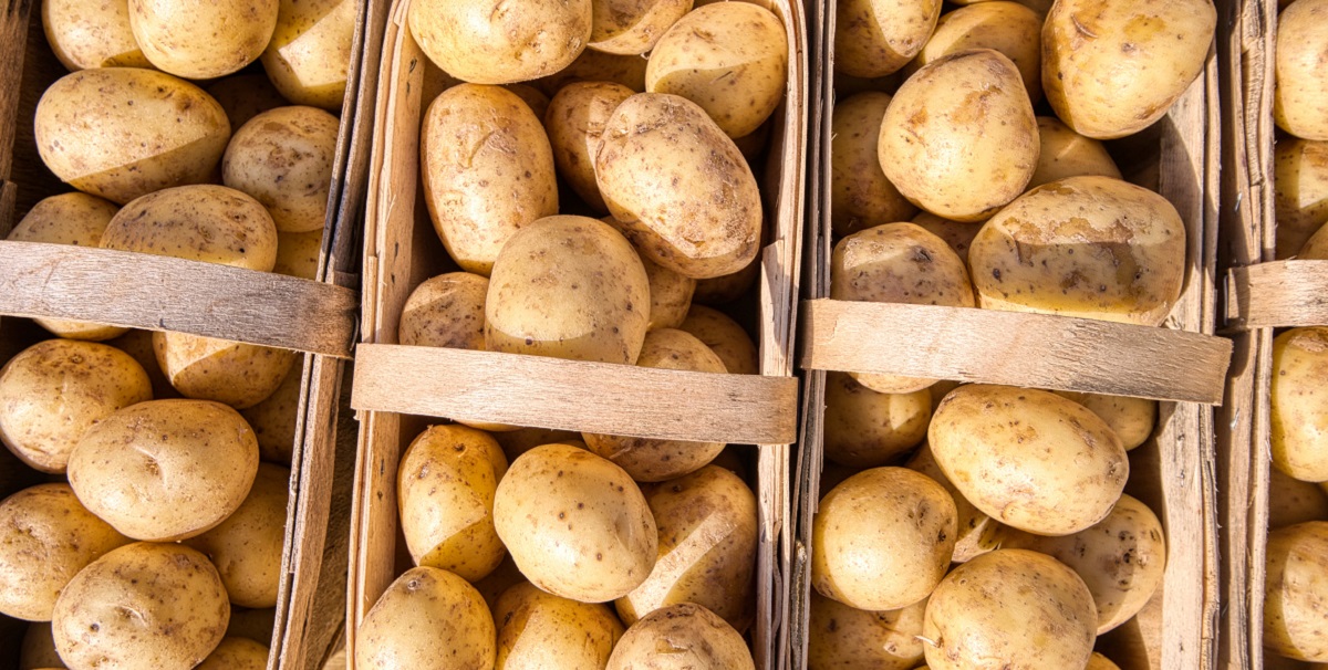 Ako ovo primetite na krompiru, nemojte ga jesti - razlog može biti vrlo opasan