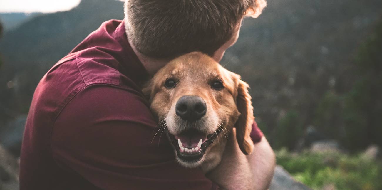 Da li ste znali da i psi mogu da zaplaču od sreće?