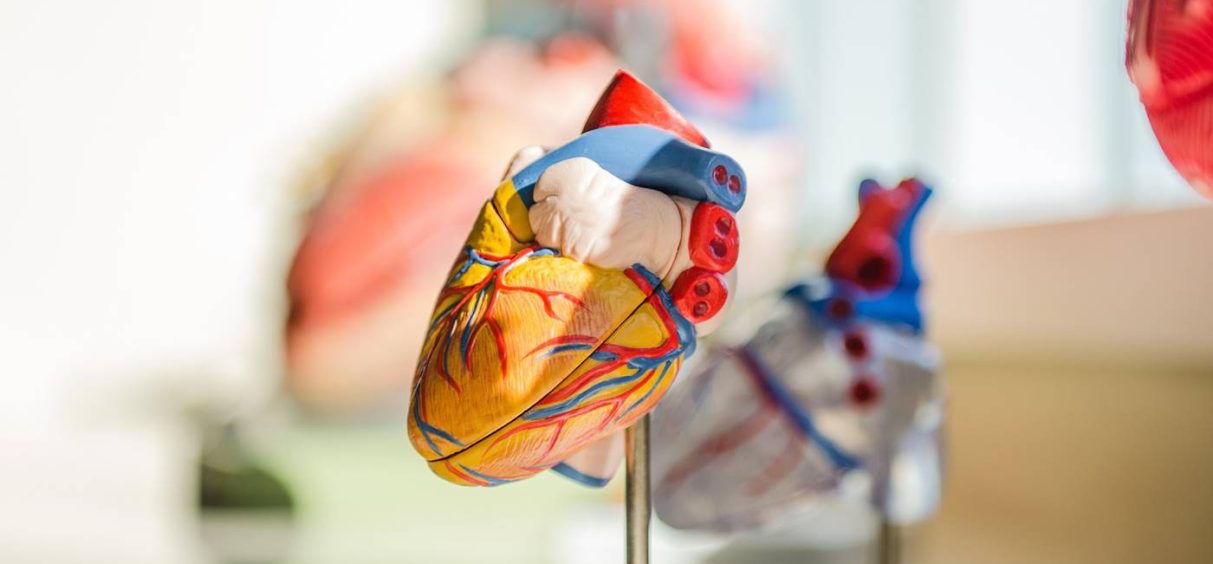 Evo šta je poželjno da radite da biste sačuvali zdravlje svog srca