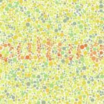 Ove optičke iluzije otkriće vam kakav je vaš vid: Koliko reči možete da pronađete?