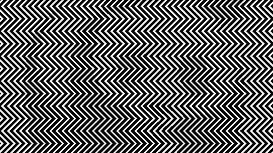 Ova optička iluzija otkriva koliko ste zapravo inteligentni: Vidite li šta se krije između linija?