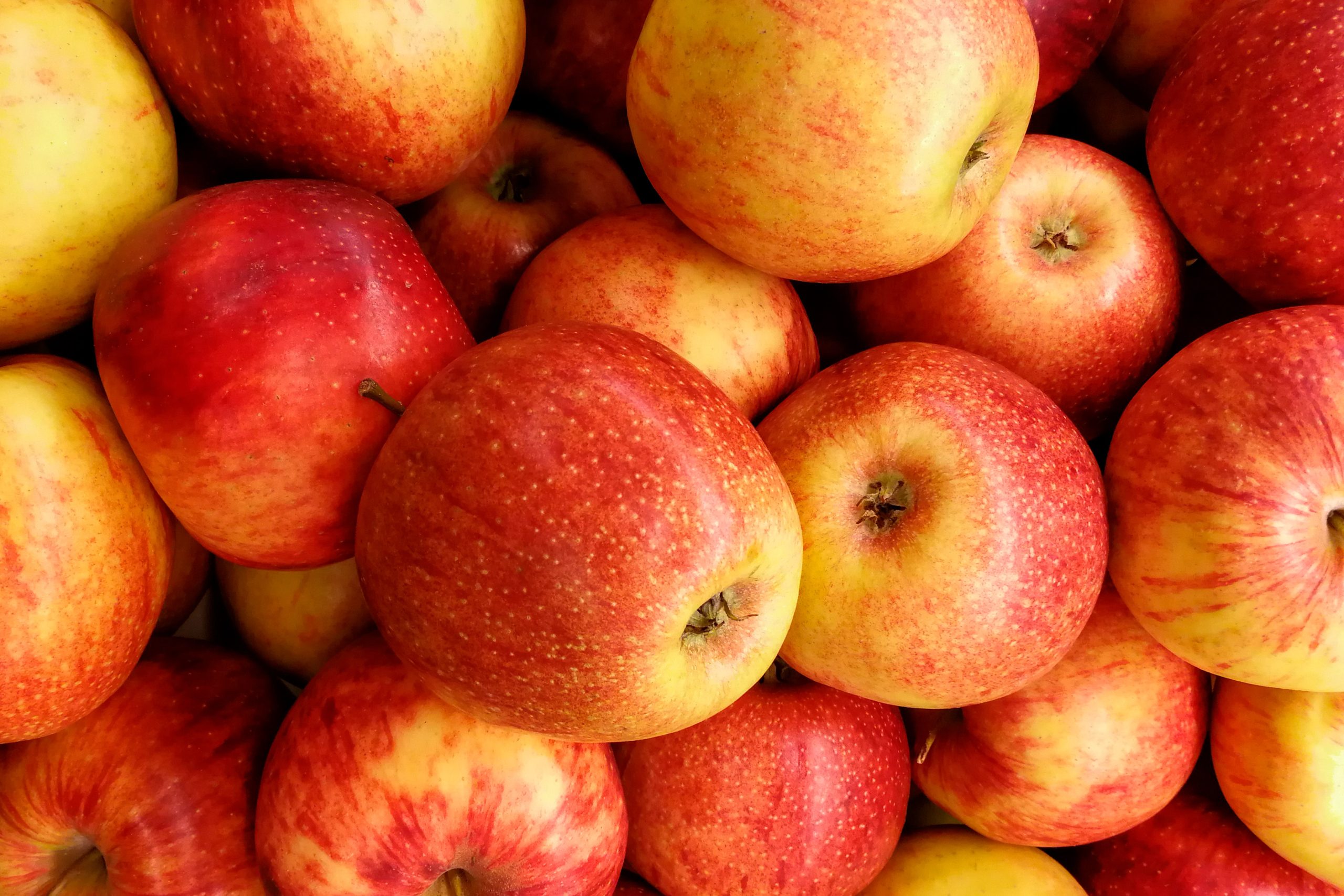 Dijeta sa jabukama koja je savršena posle praznika: Recite zbogom gladi i holesterolu i obavezno zapišite jelovnik!
