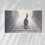 Da li se mačka penje ili silazi niz stepenice? Ono što vidite otkriva mnogo o vašoj ličnosti