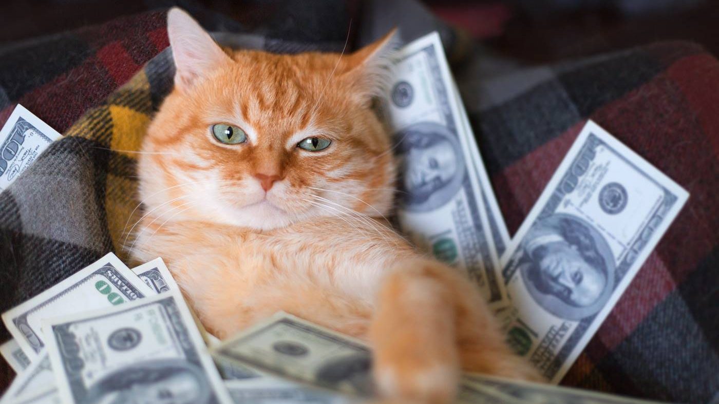 Mačka ove poznate pevačice vredi skoro 100 miliona dolara, a mi jedva sklapamo kraj sa krajem