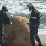 Špijunski balon, NLO ili nešto treće? Rešena misterija kugle na plaži u Japanu koja je zaintrigirala planetu