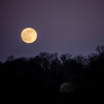 Danas je pun mesec u Lavu: Astrolozi kažu da je pravo vreme da uradite jednu stvar