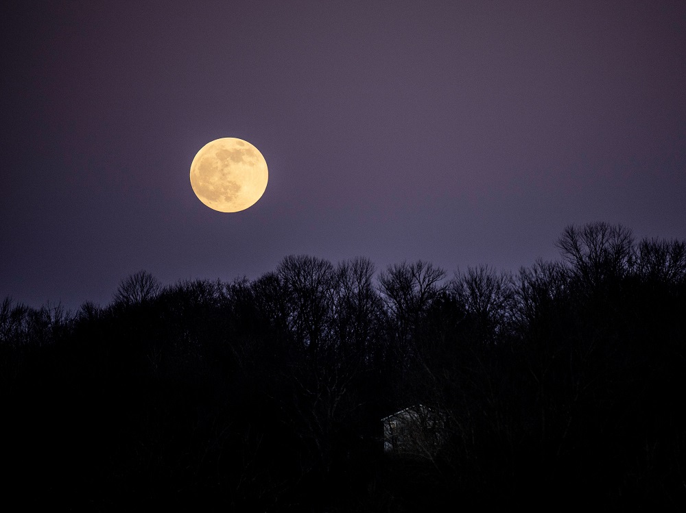 Danas je pun mesec u Lavu: Astrolozi kažu da je pravo vreme da uradite jednu stvar