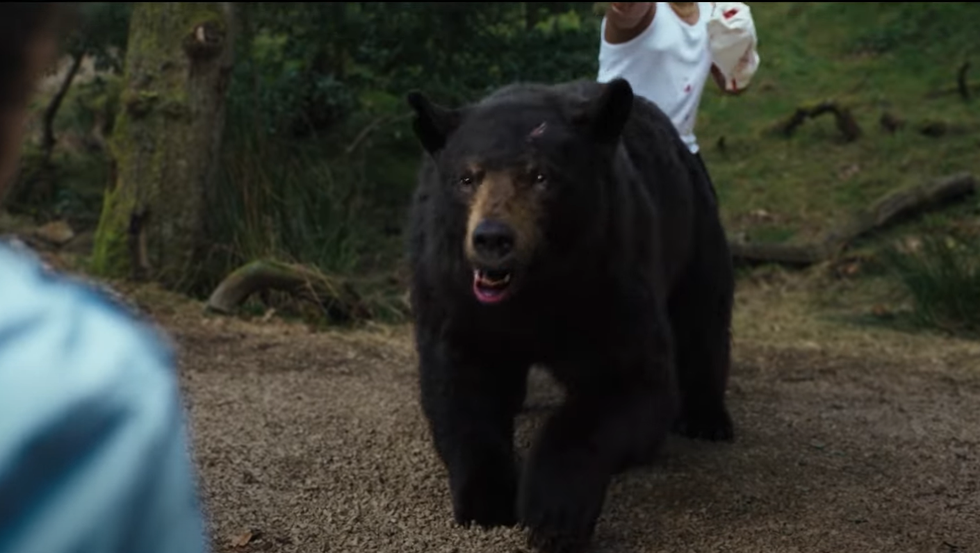Triler kakav do sad niste videli „Medved na kokainu“ stiže u bioskope
