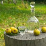 Viljamovka prva na listi najboljih alkoholnih pića na svetu: Iza sebe ostavila viski i džin