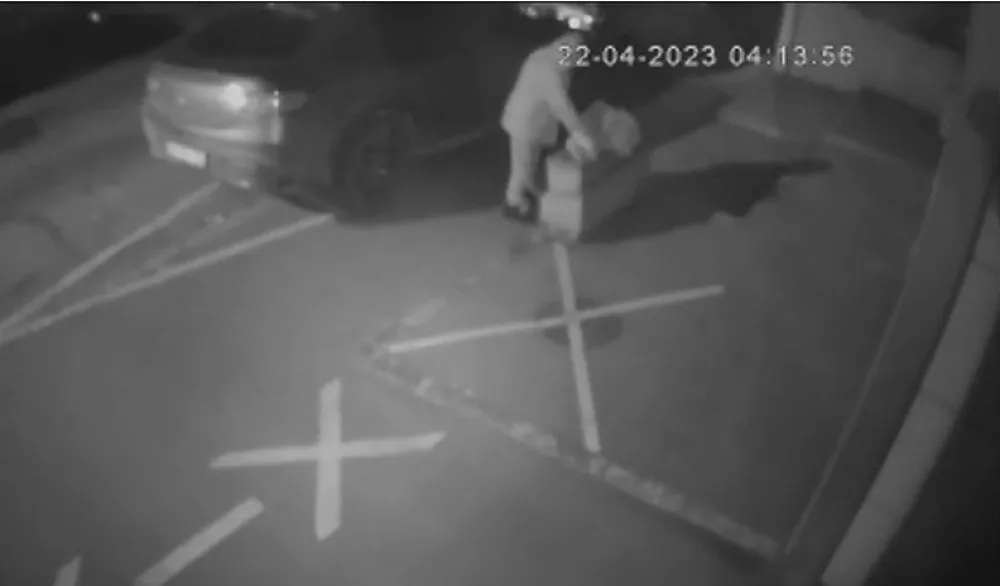 "Cvetna mafija" hara Beogradom i Leskovcem: Snimak bake koja krade žardinjere ljudi gledaju u neverici