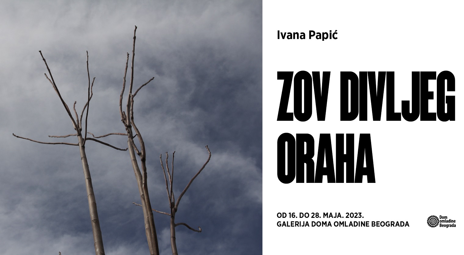 Izložba „Zov divljeg oraha" Ivane Papić u Galeriji DOB