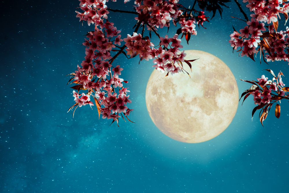 Cvetni pun mesec stiže 5. maja i uzdrmaće sve znakove: Vage čeka povišica, a Jarčeve ljubavna bura