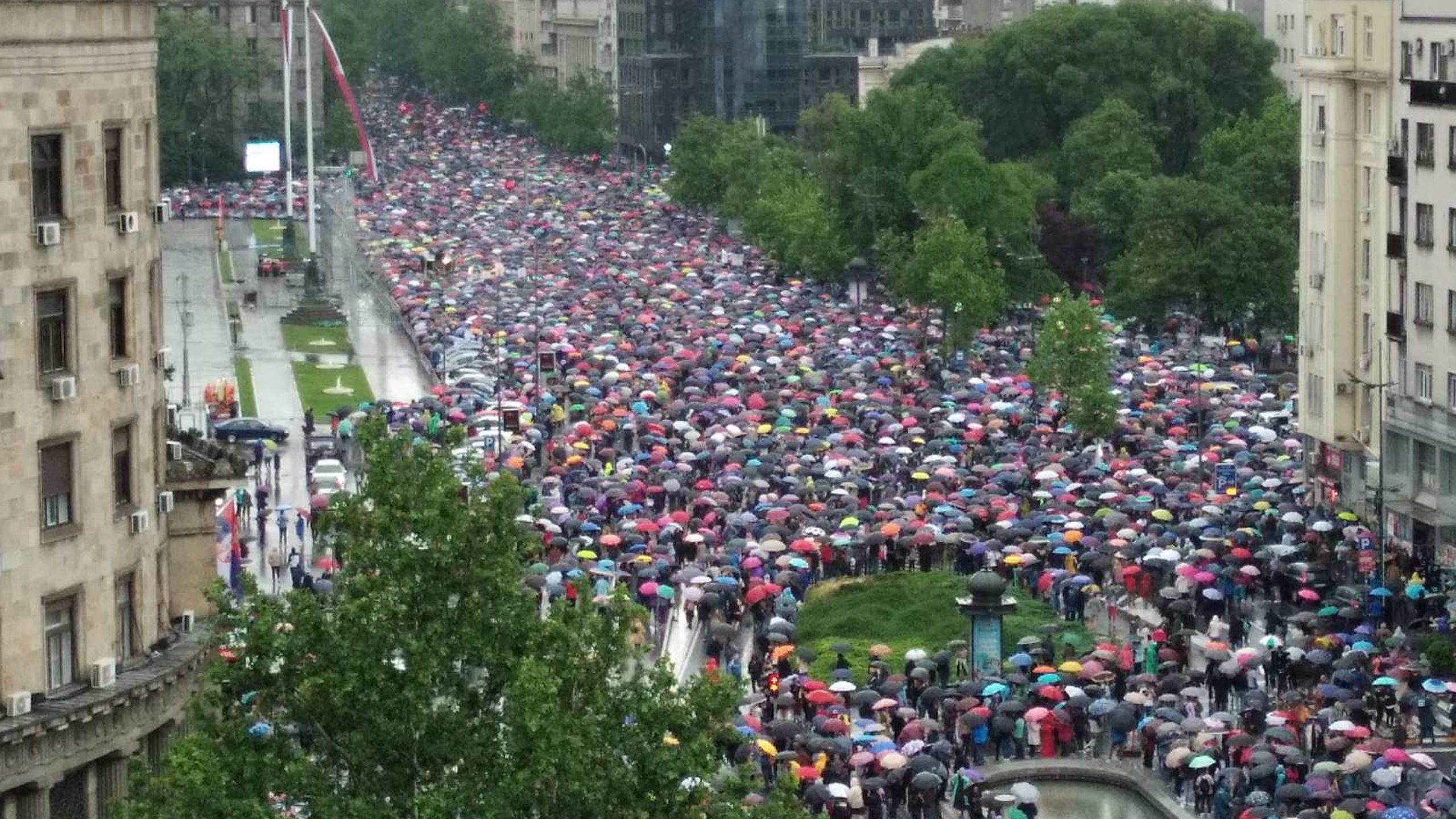Juče je lešinarčić izašao da šeta na kiši i to je sve što treba da znate o ovim protestima