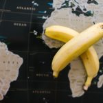 Svi koristimo termin "banana država", a da li znate šta zapravo znači i na koju zemlju se prvo odnosio?