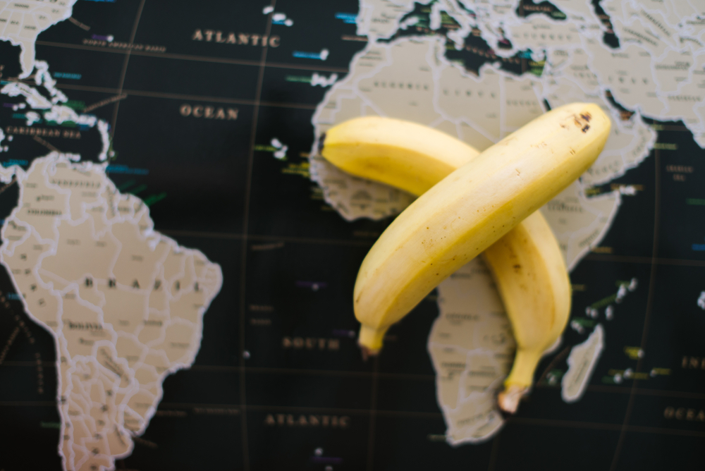 Svi koristimo termin "banana država", a da li znate šta zapravo znači i na koju zemlju se prvo odnosio?