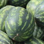 Prestanite da kucate u lubenice: ovo su tri prava načina kako da izaberete zrelu i sočnu voćku