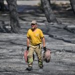 "Ovo slama srce": Snimak vatrogasaca koji spašavaju jelena od požara u Grčkoj ih kandiduje za heroje godine