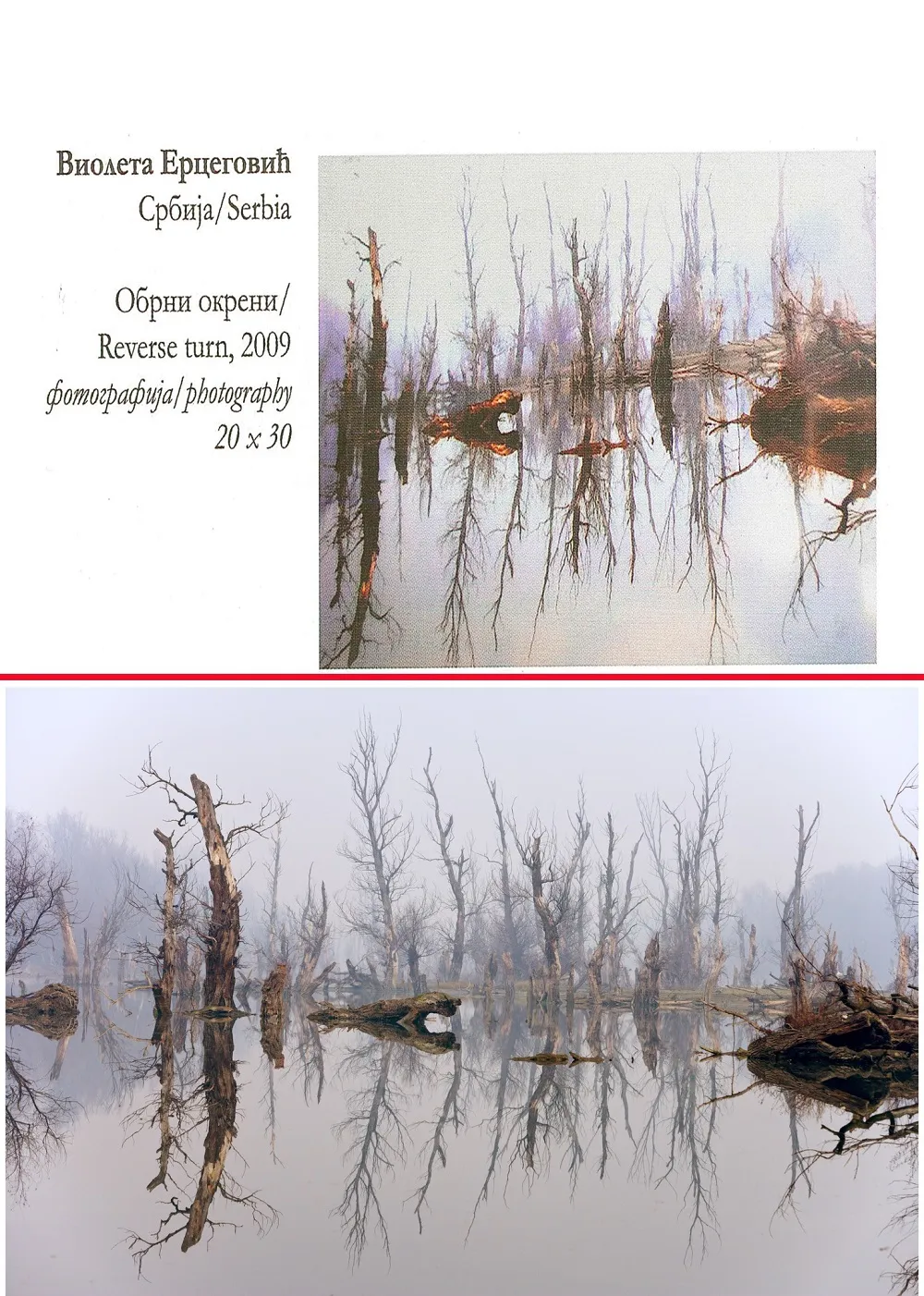 Kako je Dragoljub Zamurović optužen za krađu fotografije 1 Kako je Dragoljub Zamurović optužen za krađu fotografije